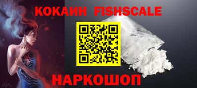 твердый Гатчина