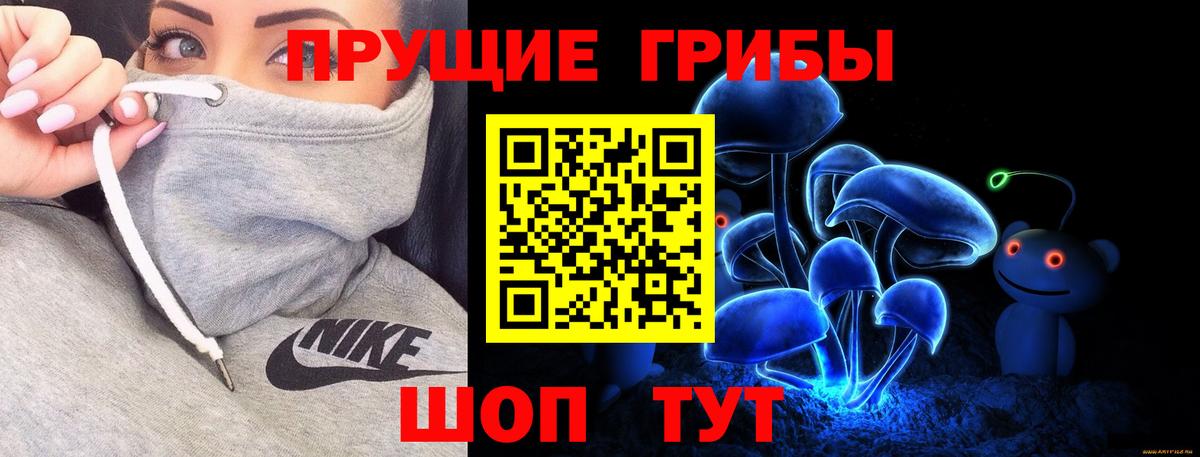 Псилоцибиновые грибы Cubensis Каспийск
