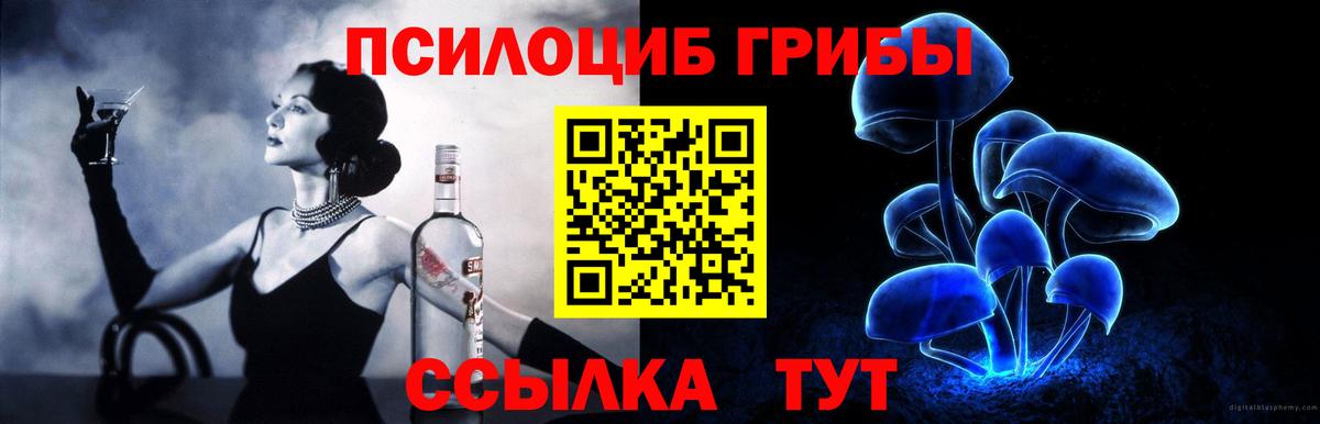 Псилоцибиновые грибы мухоморы  цена наркотик  Вход с VPN  Каспийск  Галлюциногенные грибы прущие грибы 